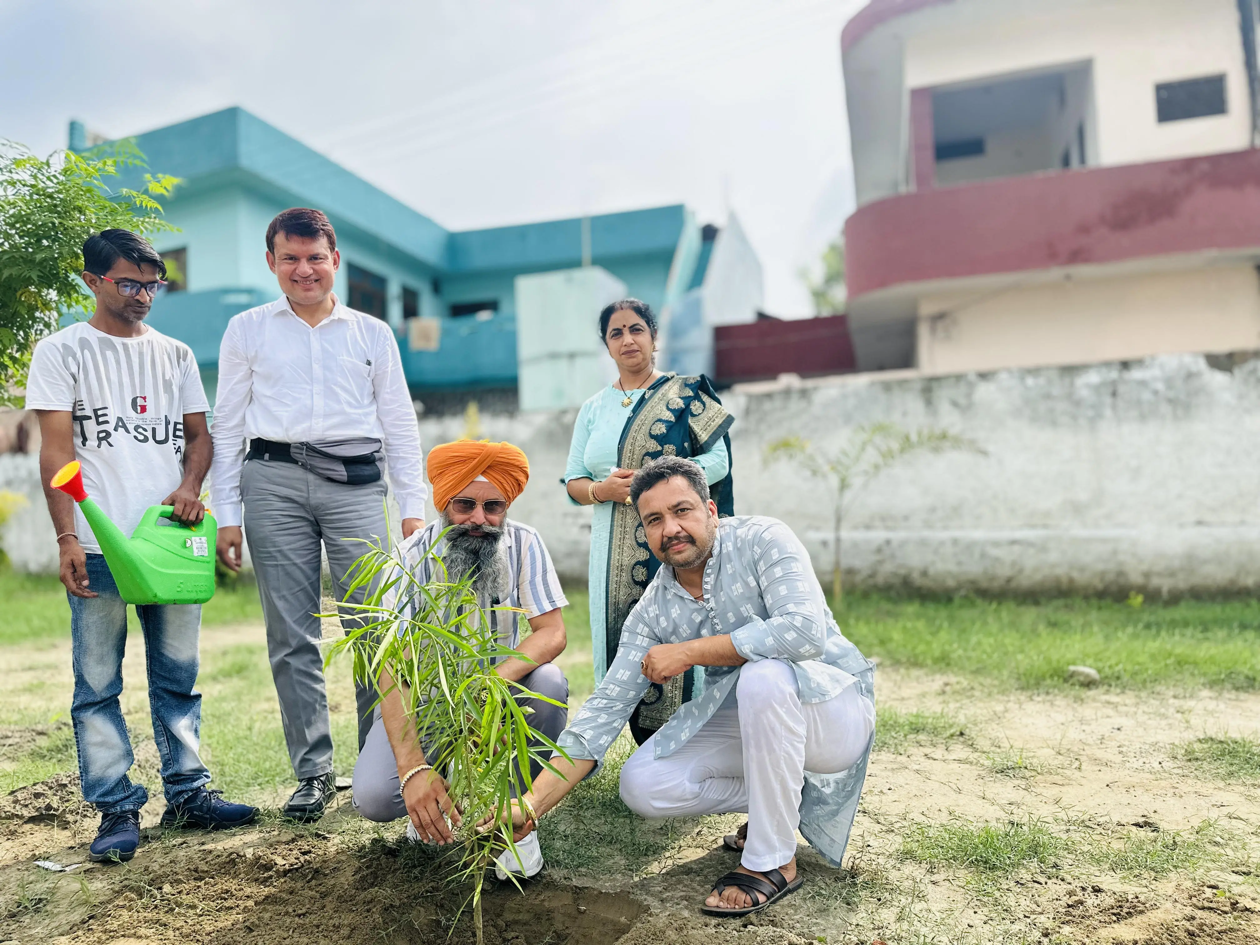 Environment (Tree Plantation)