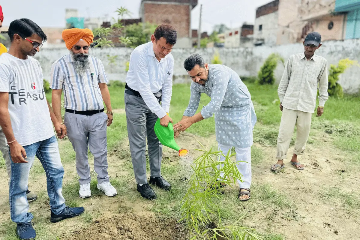 Environment (Tree Plantation)
